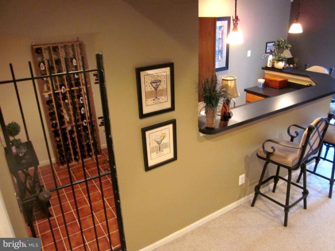 9038 Roaring Spring Loop Bristow, VA 20136 - Photo 8 of 30 Basement