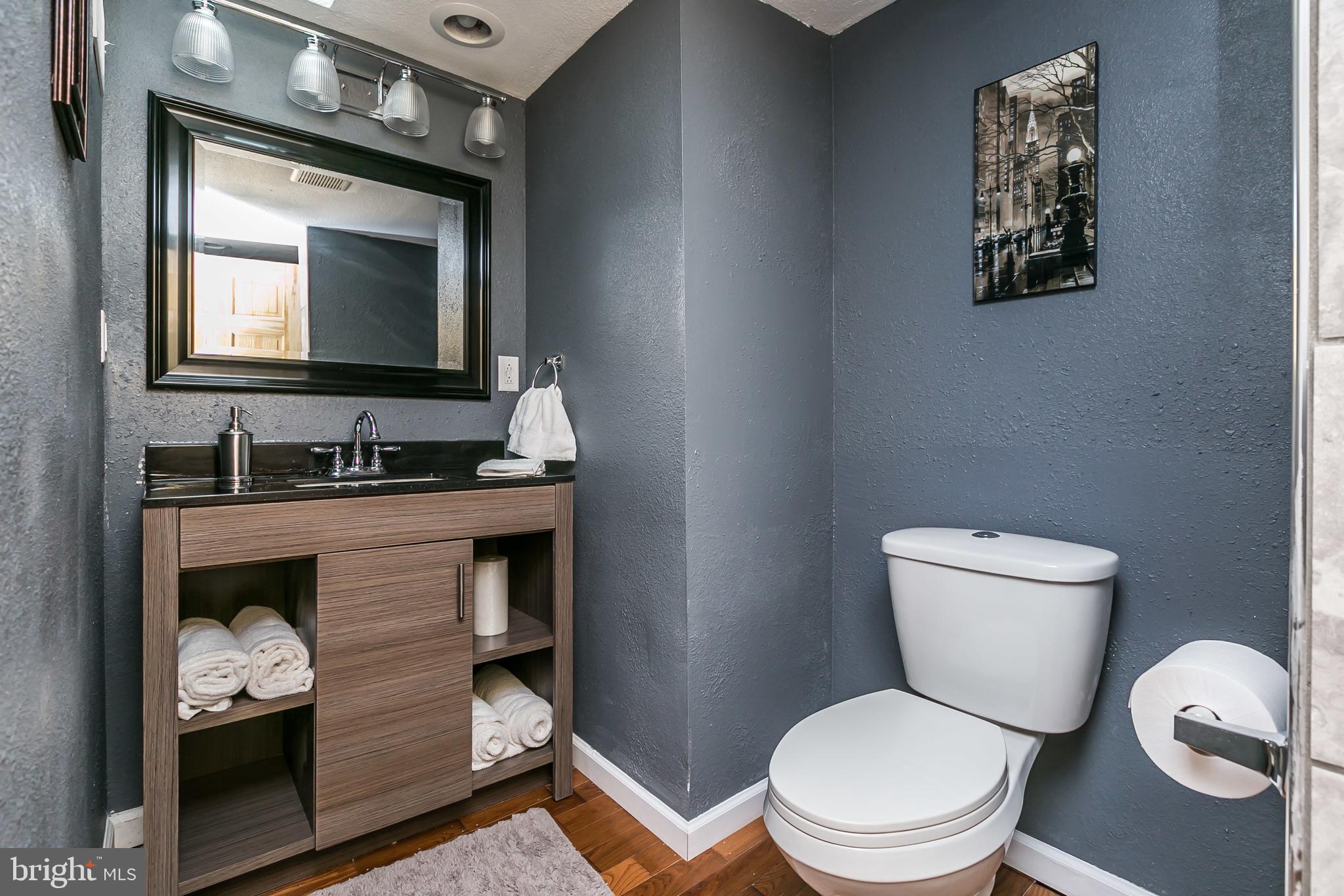 609 Wyeth Street Baltimore, MD 21230 - Photo 18 of 32 a bathroom with a toilet a sink and mirror