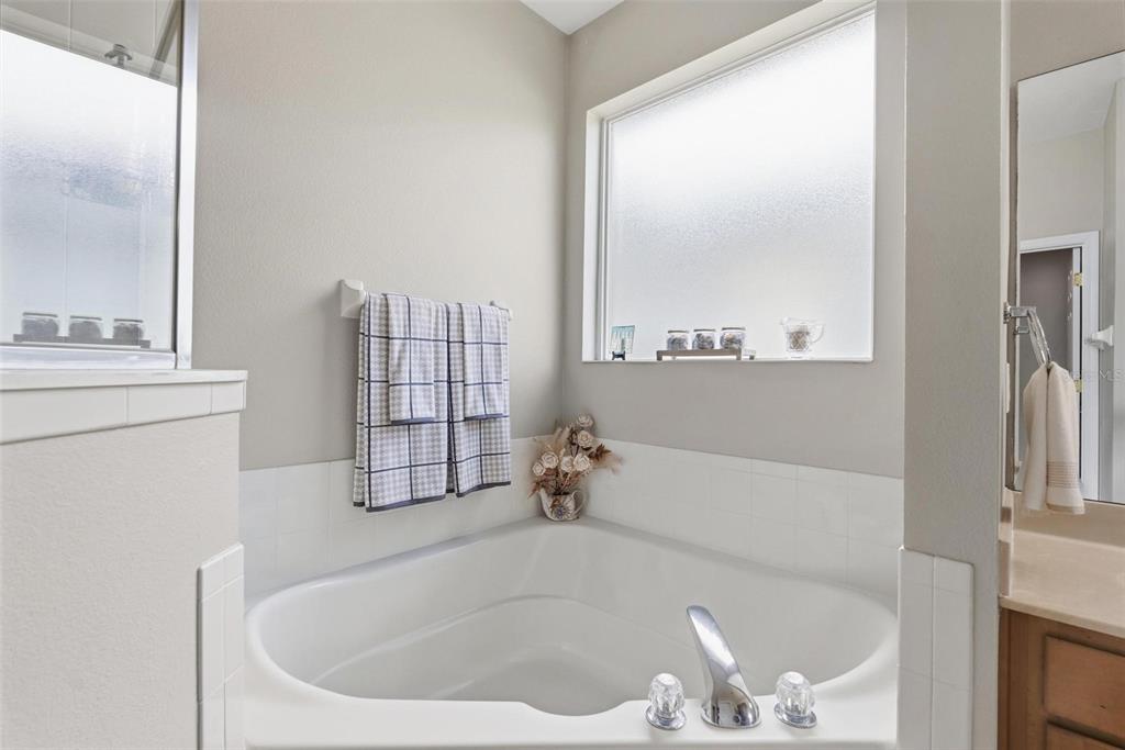 207 Coleton Lane DeLand, FL 32724 - Photo 31 of 65 a bathroom with a tub and a sink