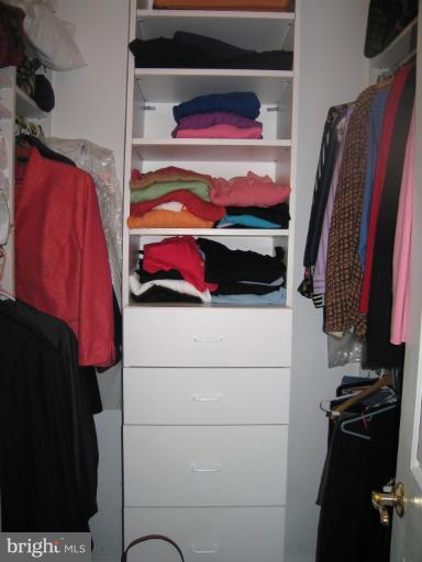1077 30th Street Northwest, Unit 304 Washington, DC 20007 - Photo 17 of 27 a view of walk in closet with clothes and shoes
