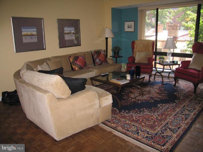 1077 30th Street Northwest, Unit 304 Washington, DC 20007 - Photo 8 of 27 a living room with furniture and a rug