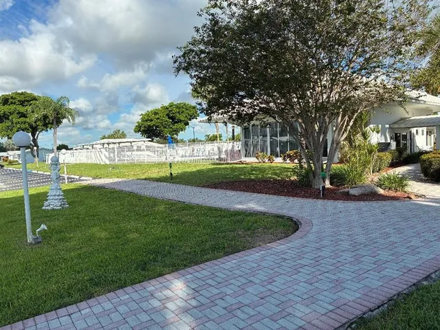 a view of a park with large trees
