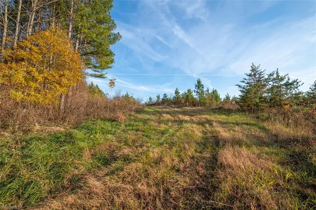 $2,040,000 | 0 Lady Mary Road, Stoneville, NC 27048