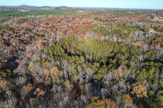 $2,040,000 | 0 Lady Mary Road, Stoneville, NC 27048