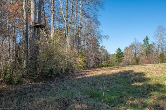 $2,040,000 | 0 Lady Mary Road, Stoneville, NC 27048