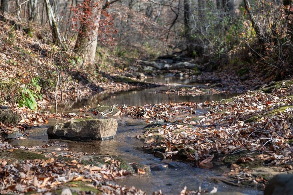 0 Lady Mary Road Stoneville, NC 27048 - Photo 15 of 42