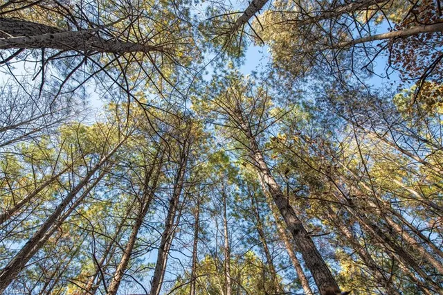 $2,040,000 | 0 Lady Mary Road, Stoneville, NC 27048