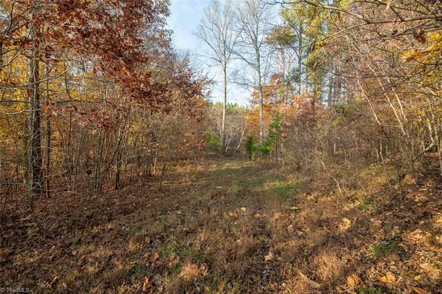 $2,040,000 | 0 Lady Mary Road, Stoneville, NC 27048