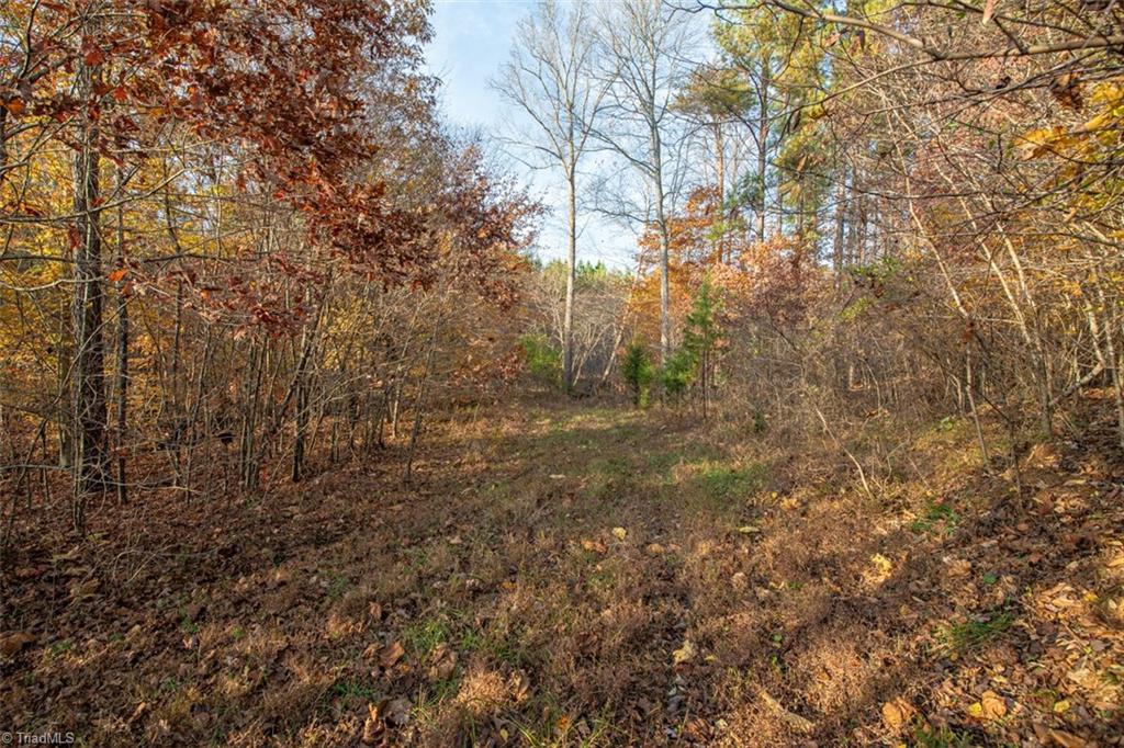 0 Lady Mary Road Stoneville, NC 27048 - Photo 18 of 42