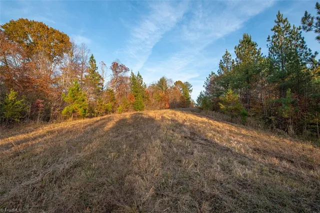 $2,040,000 | 0 Lady Mary Road, Stoneville, NC 27048