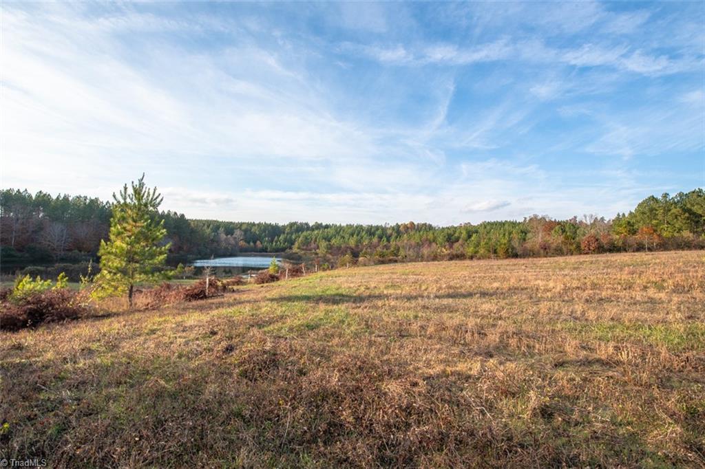 0 Lady Mary Road Stoneville, NC 27048 - Photo 2 of 42