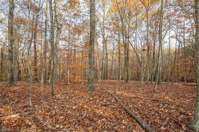 $2,040,000 | 0 Lady Mary Road, Stoneville, NC 27048