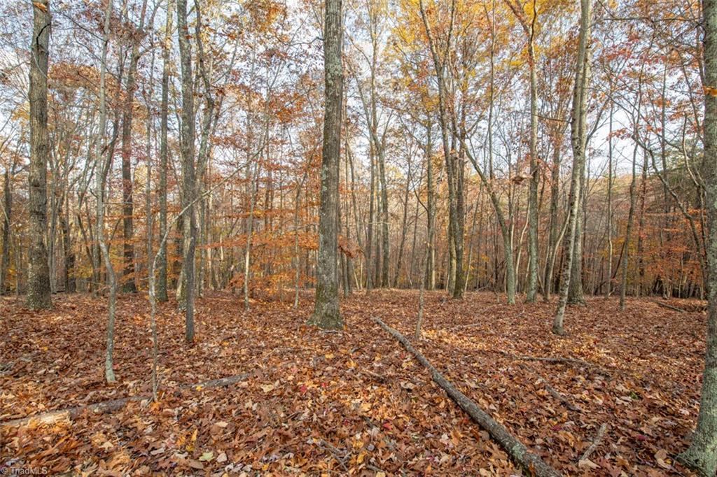 0 Lady Mary Road Stoneville, NC 27048 - Photo 23 of 42