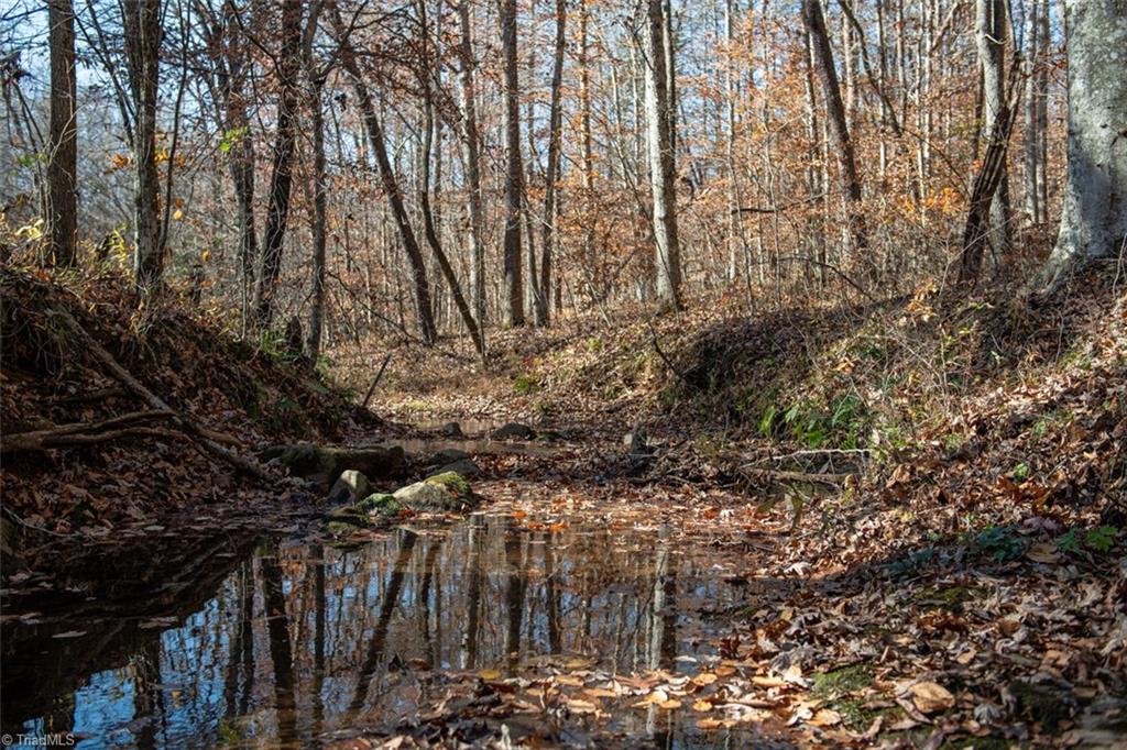 0 Lady Mary Road Stoneville, NC 27048 - Photo 25 of 42