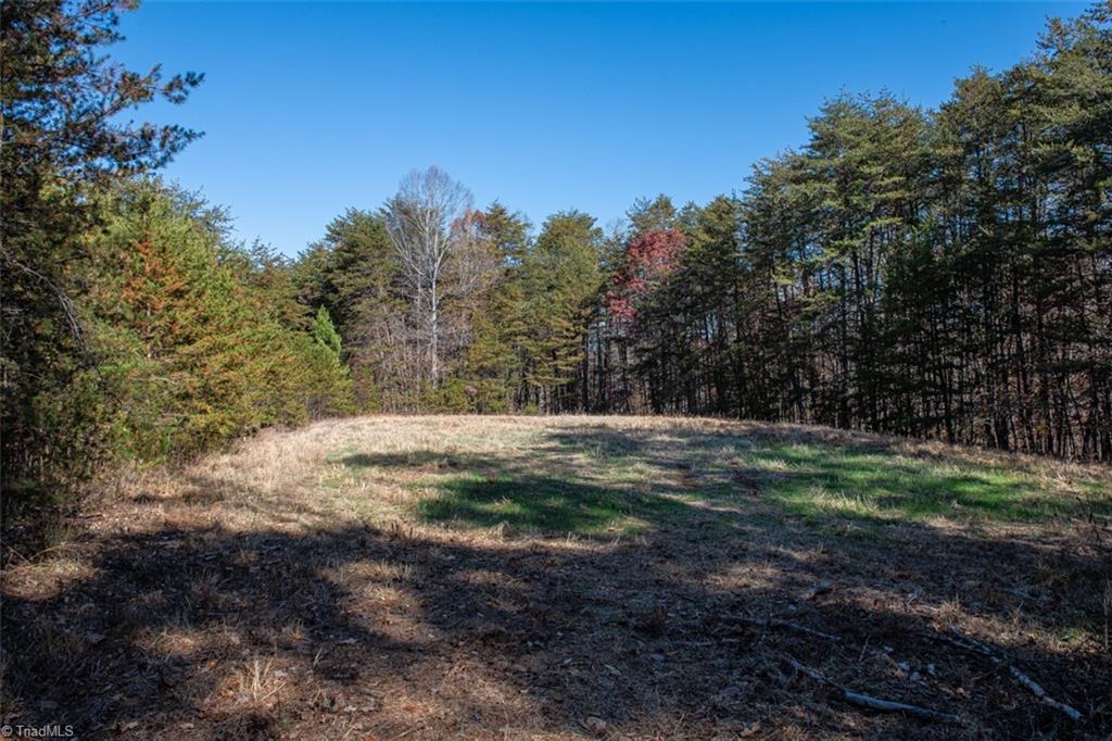 0 Lady Mary Road Stoneville, NC 27048 - Photo 26 of 42