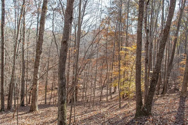 $2,040,000 | 0 Lady Mary Road, Stoneville, NC 27048