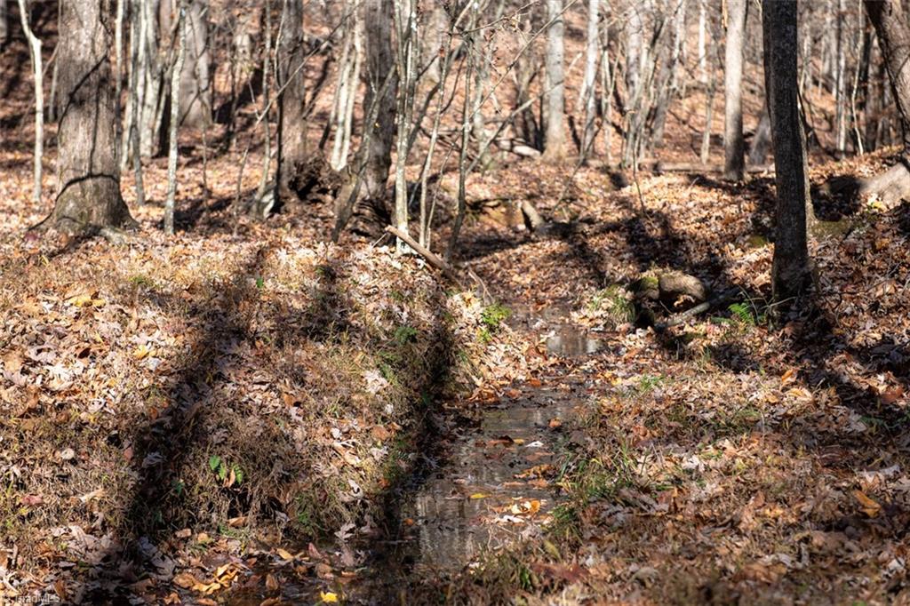 0 Lady Mary Road Stoneville, NC 27048 - Photo 28 of 42