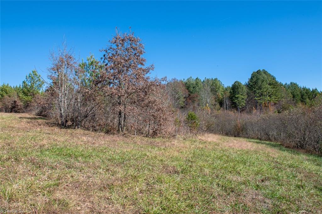 0 Lady Mary Road Stoneville, NC 27048 - Photo 29 of 42