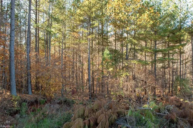 $2,040,000 | 0 Lady Mary Road, Stoneville, NC 27048