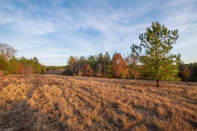 $2,040,000 | 0 Lady Mary Road, Stoneville, NC 27048