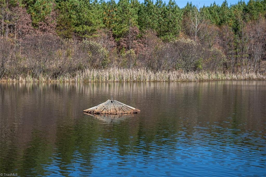 0 Lady Mary Road Stoneville, NC 27048 - Photo 31 of 42