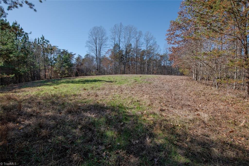 0 Lady Mary Road Stoneville, NC 27048 - Photo 32 of 42