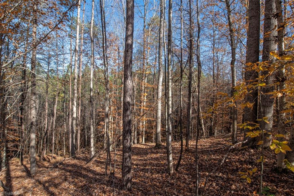 0 Lady Mary Road Stoneville, NC 27048 - Photo 33 of 42