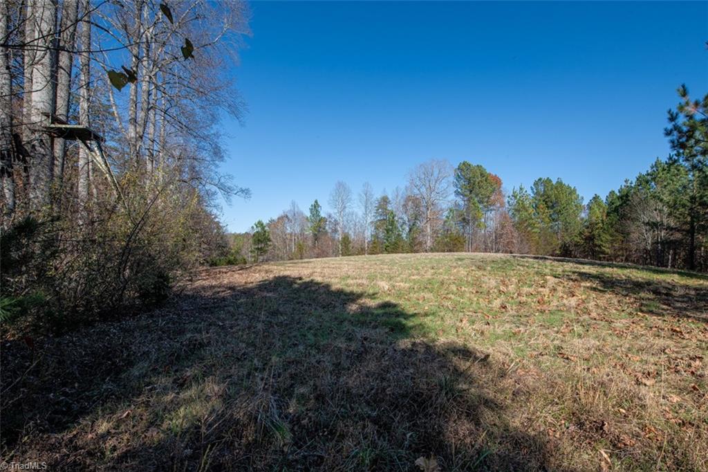 0 Lady Mary Road Stoneville, NC 27048 - Photo 34 of 42