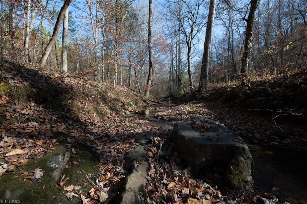 0 Lady Mary Road Stoneville, NC 27048 - Photo 35 of 42