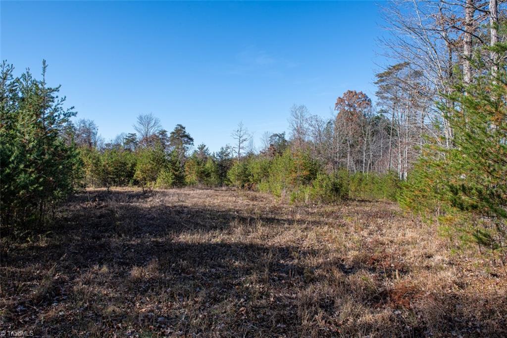 0 Lady Mary Road Stoneville, NC 27048 - Photo 36 of 42