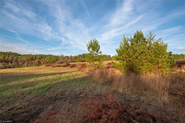 $2,040,000 | 0 Lady Mary Road, Stoneville, NC 27048