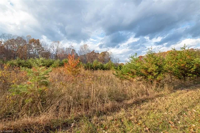 $2,040,000 | 0 Lady Mary Road, Stoneville, NC 27048