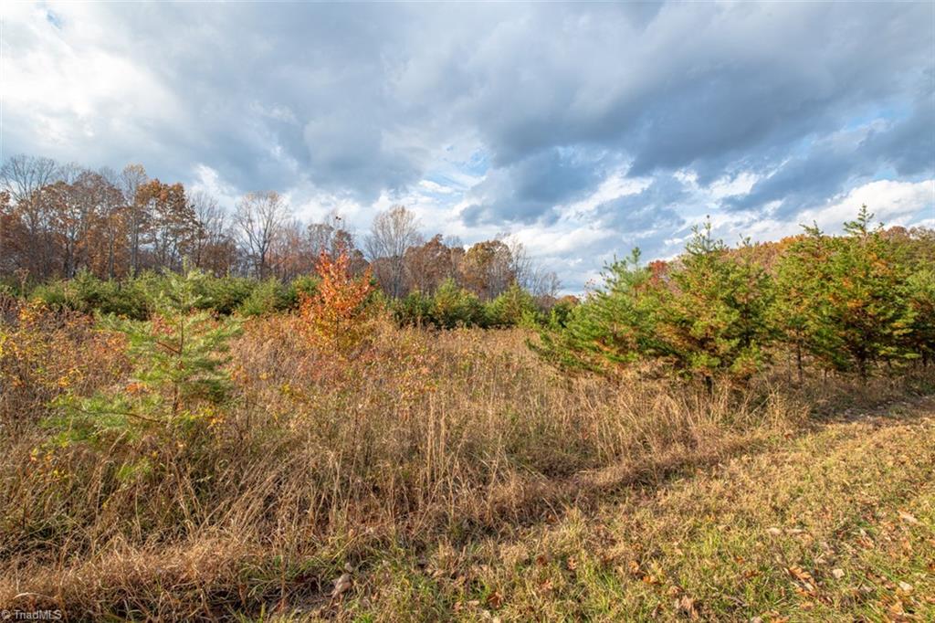 0 Lady Mary Road Stoneville, NC 27048 - Photo 42 of 42