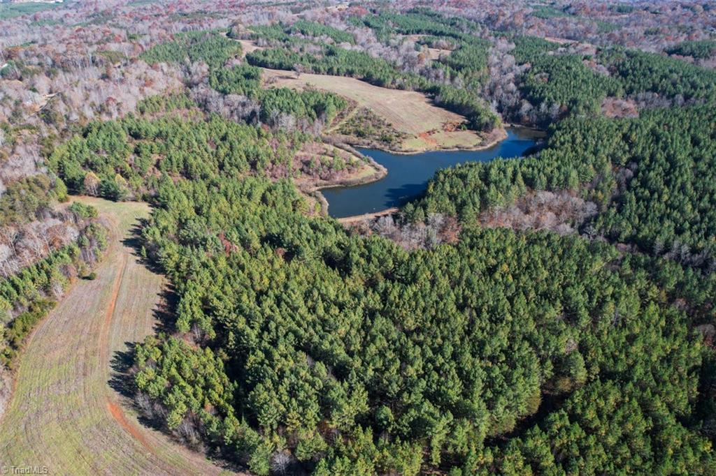 0 Lady Mary Road Stoneville, NC 27048 - Photo 10 of 42