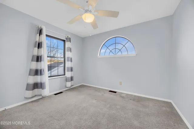 a view of a park with large trees