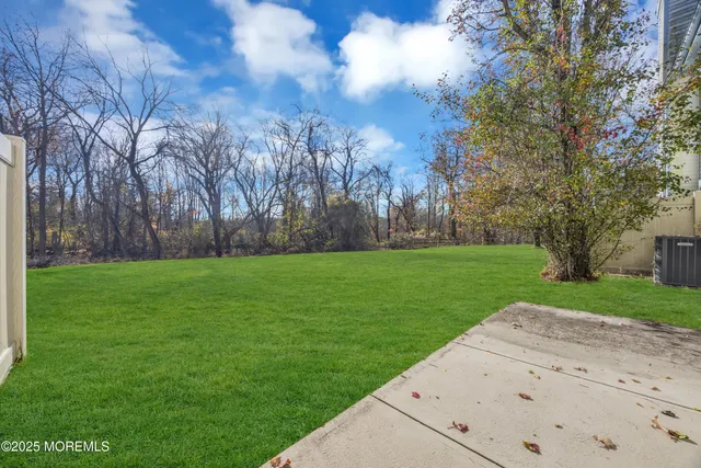 a view of yard with green space