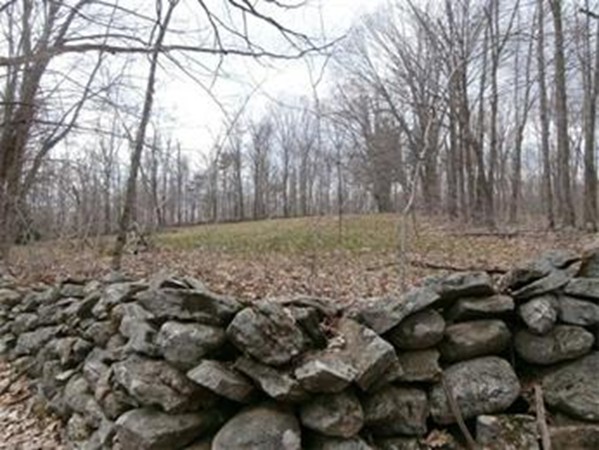 Lot 171 Rutherford Road Oakham, MA 01068 - Photo 7 of 9 Gallery Image 7
