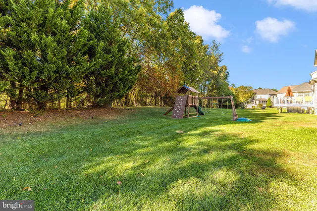 a view of a park with large trees