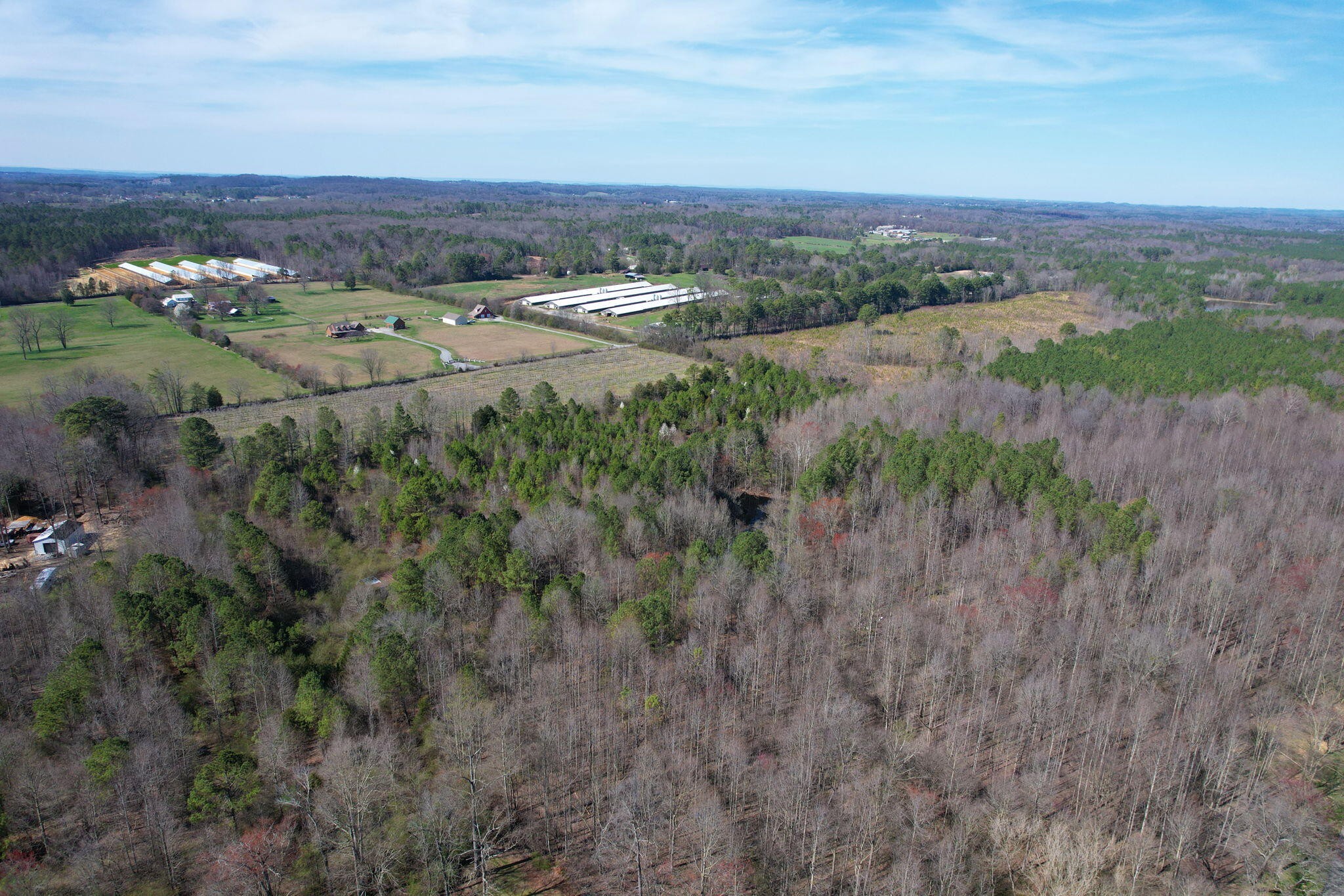 0 Southeast Branam Road Old Fort, TN 37362 - Photo 15 of 17 Gallery Image 15