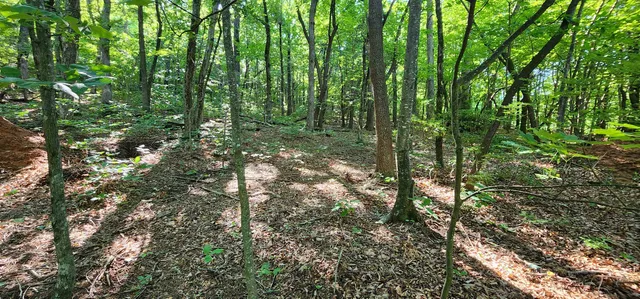 $12,500 | Lot 71 Serpentine Drive, Columbus, NC 28722