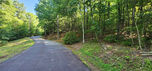 $12,500 | Lot 71 Serpentine Drive, Columbus, NC 28722