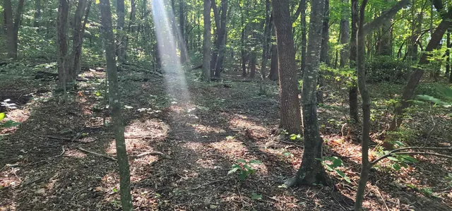 $12,500 | Lot 71 Serpentine Drive, Columbus, NC 28722