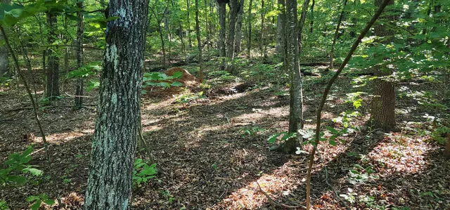 $12,500 | Lot 71 Serpentine Drive, Columbus, NC 28722