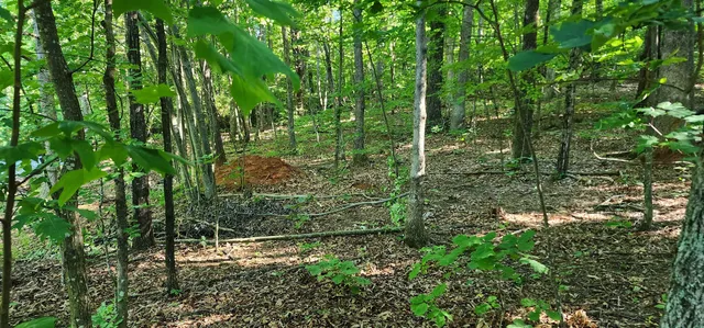 $12,500 | Lot 71 Serpentine Drive, Columbus, NC 28722