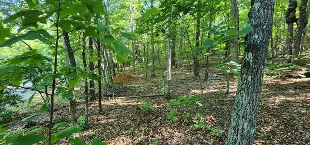 $12,500 | Lot 71 Serpentine Drive, Columbus, NC 28722