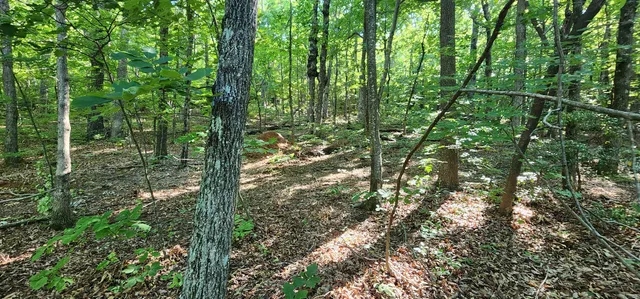 $12,500 | Lot 71 Serpentine Drive, Columbus, NC 28722