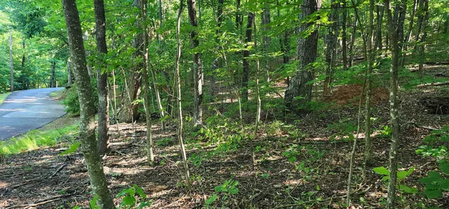 $12,500 | Lot 71 Serpentine Drive, Columbus, NC 28722