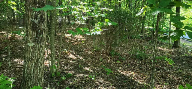 $12,500 | Lot 71 Serpentine Drive, Columbus, NC 28722
