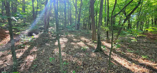 $12,500 | Lot 71 Serpentine Drive, Columbus, NC 28722