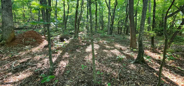 $12,500 | Lot 71 Serpentine Drive, Columbus, NC 28722